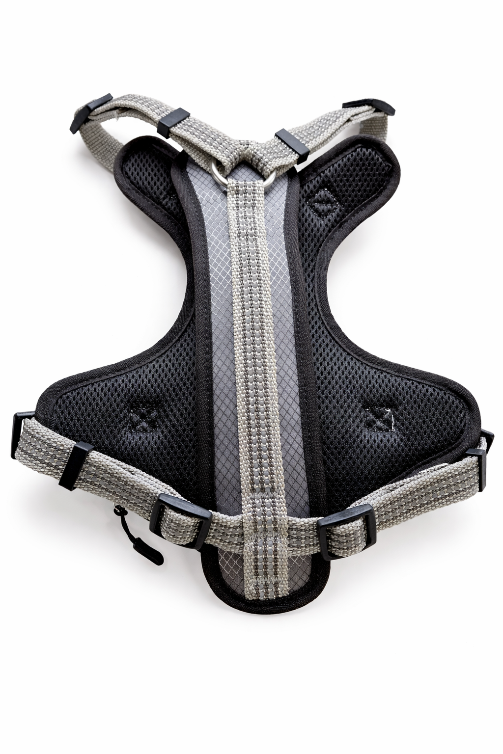 Pack Aventurero Premium Furiidog