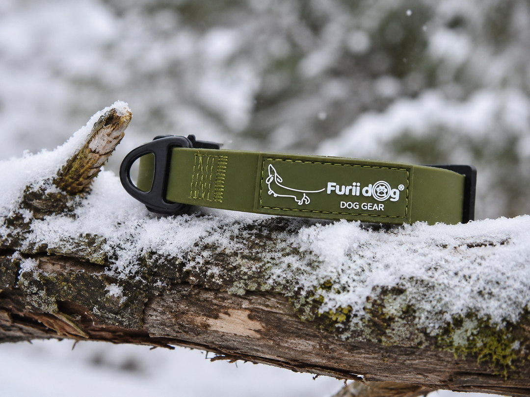 Collar Impermeable para perros