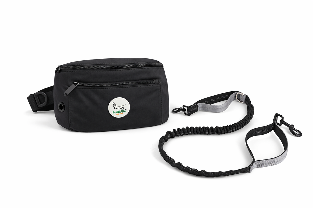 Pack Paseo Activo Furiidog