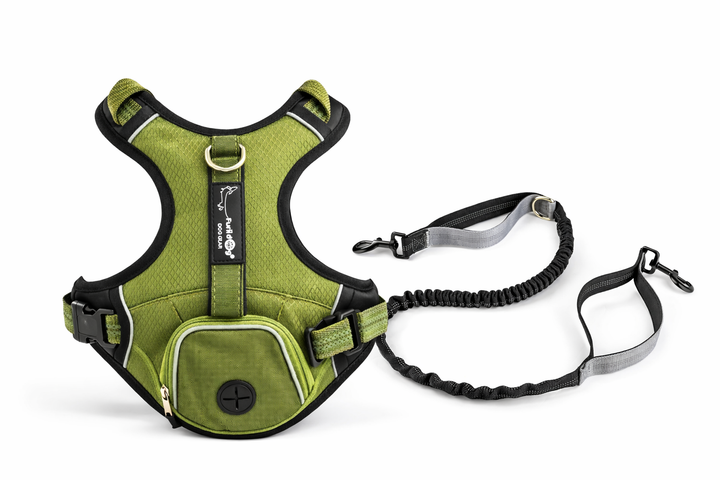 Pack Paseo Controlado Furiidog