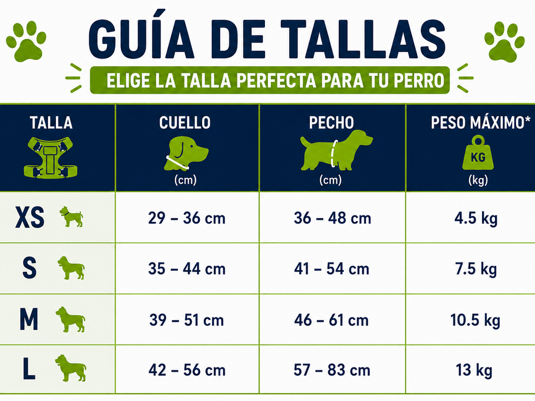 Pack Paseo Controlado Furiidog Gris