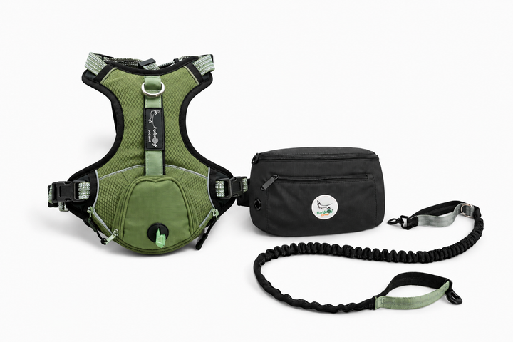 Pack Aventurero Premium Furiidog
