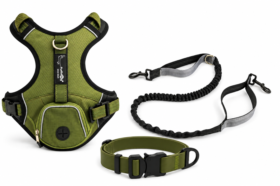 Pack Verde Aventura