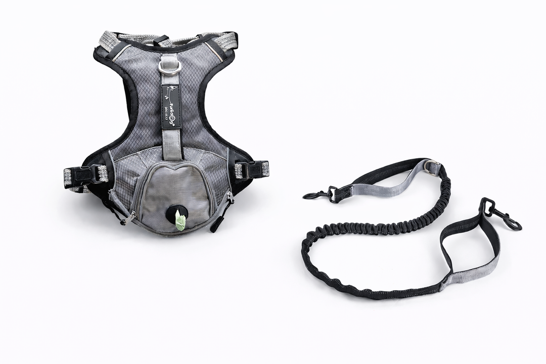 Pack Paseo Controlado Furiidog Gris