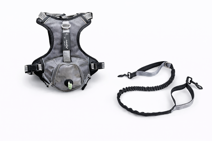Pack Paseo Controlado Furiidog Gris