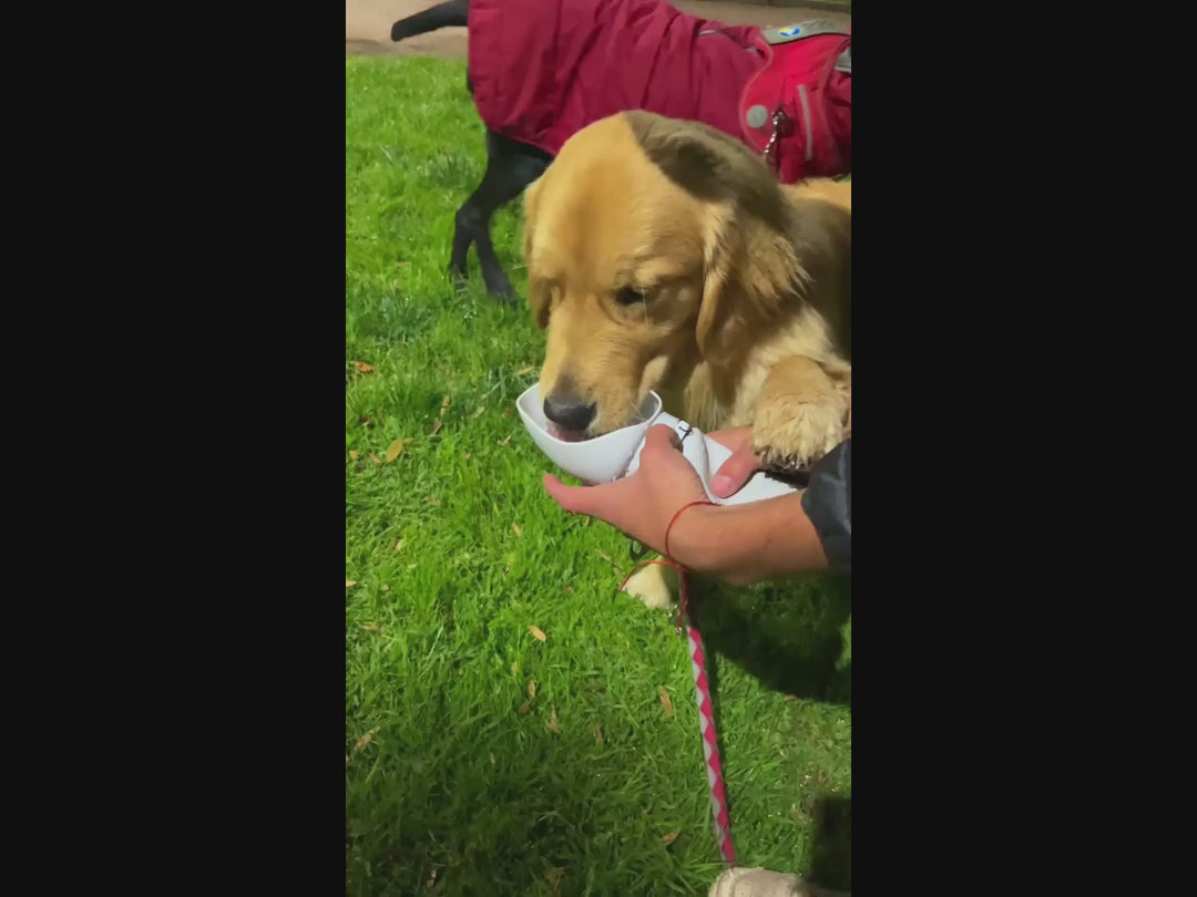 Pack Paseo Pro Furiidog