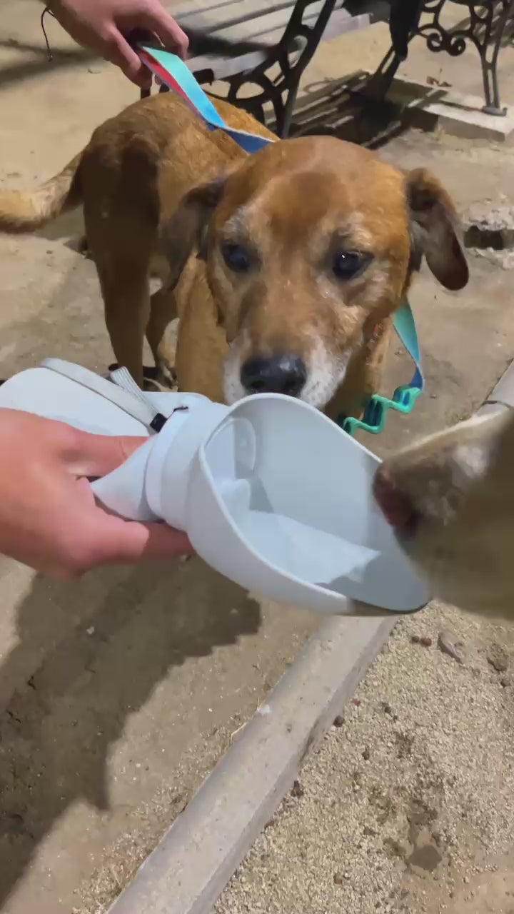 Pack Hidratación &amp; Paseo Furiidog