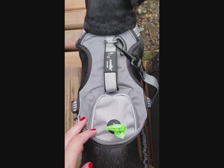 Arnés Outdoor para perros aventureros