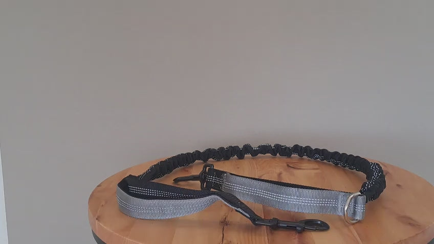 Correa de Entrenamiento Anti-Tirones Furiidog