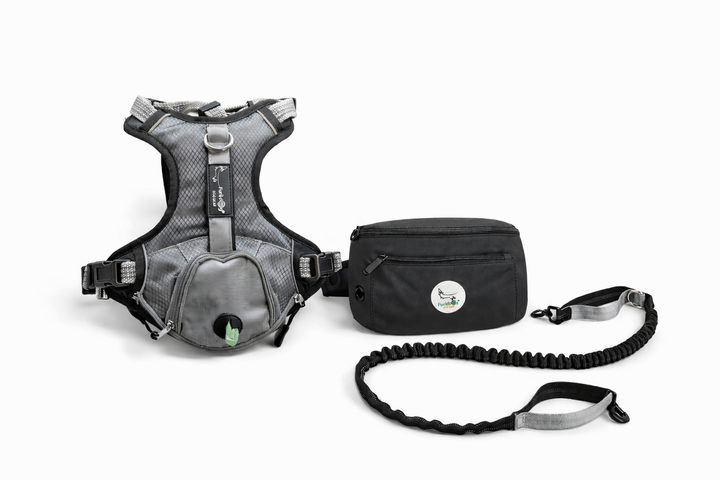 Pack Aventurero Premium Furiidog